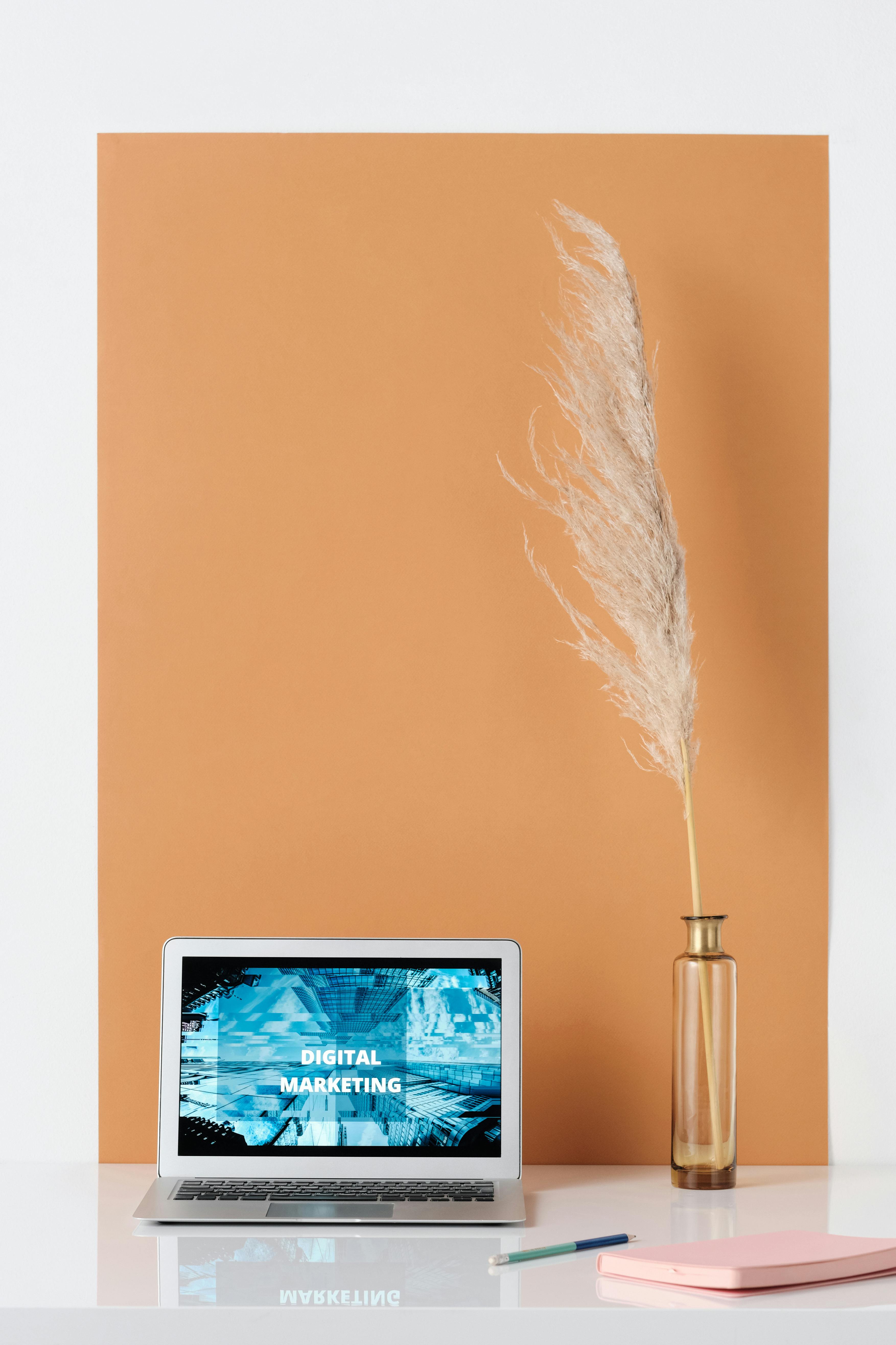 dried pampas grass on glass vase