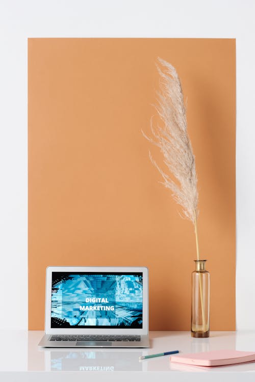 Free Dried Pampas Grass on Glass Vase Stock Photo