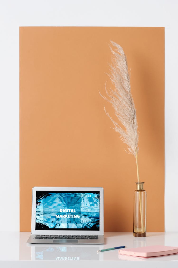 Dried Pampas Grass On Glass Vase