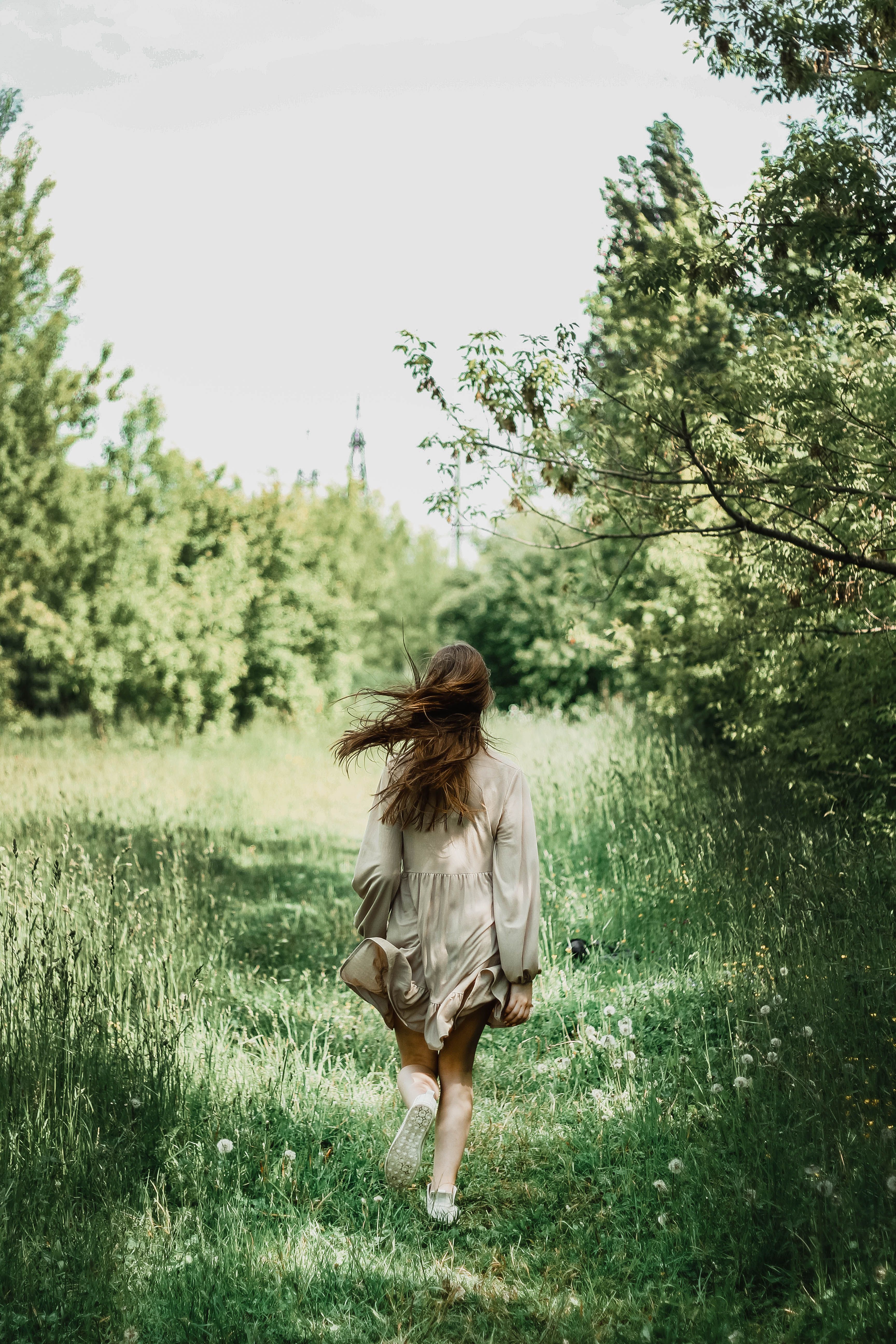 Back View of a Woman Walking in a Path Towards the Forest · Free Stock ...