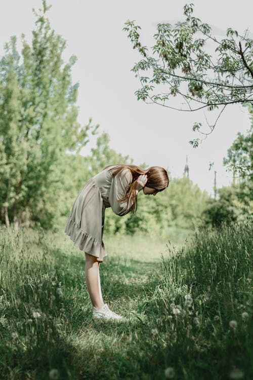 Foto profissional grátis de alice, aventura, bosque