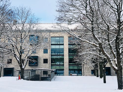 Immagine gratuita di alberi spogli, architettura, coperto di neve