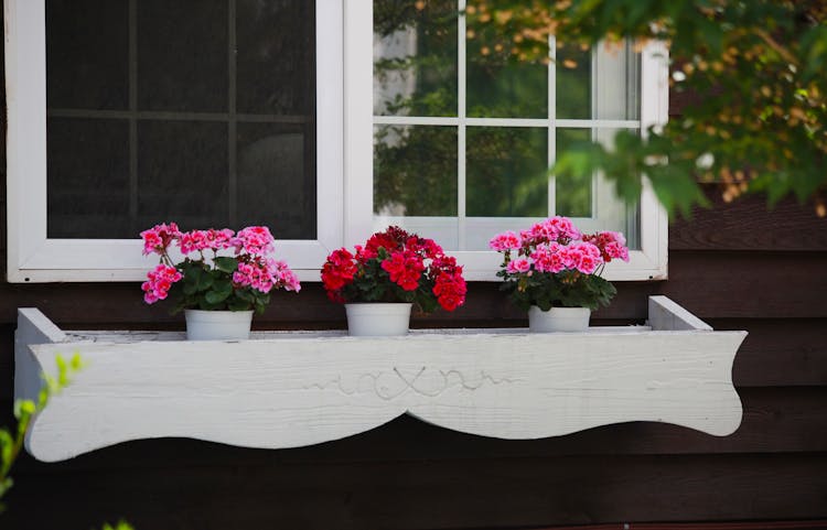 Pink And Red Flowers On White Pots