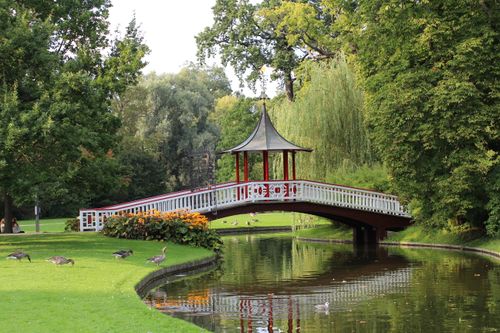 Free Scenic view of a quaint wooden bridge over a pond in a lush, green park setting. Stock Photo