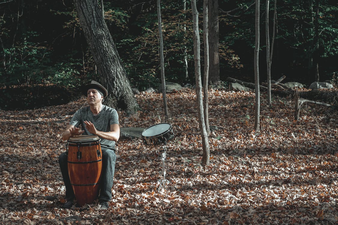Free Full body of concentrated middle aged male musician in casual clothes and hat playing conga percussion instrument sitting in autumn park with fallen leaves near drum Stock Photo