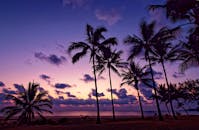 澳大利亚海滩上充满活力的日落和棕榈树的轮廓，营造出宁静的热带风景