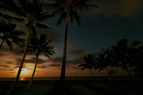 Ücretsiz ada, akşam karanlığı, avuç içi içeren Ücretsiz stok fotoğraf Stok Fotoğraflar