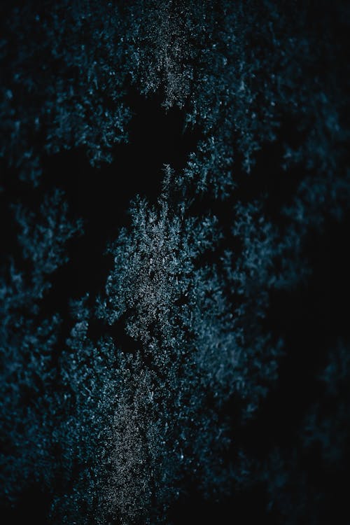 Silver and Blue Particles on Black Background