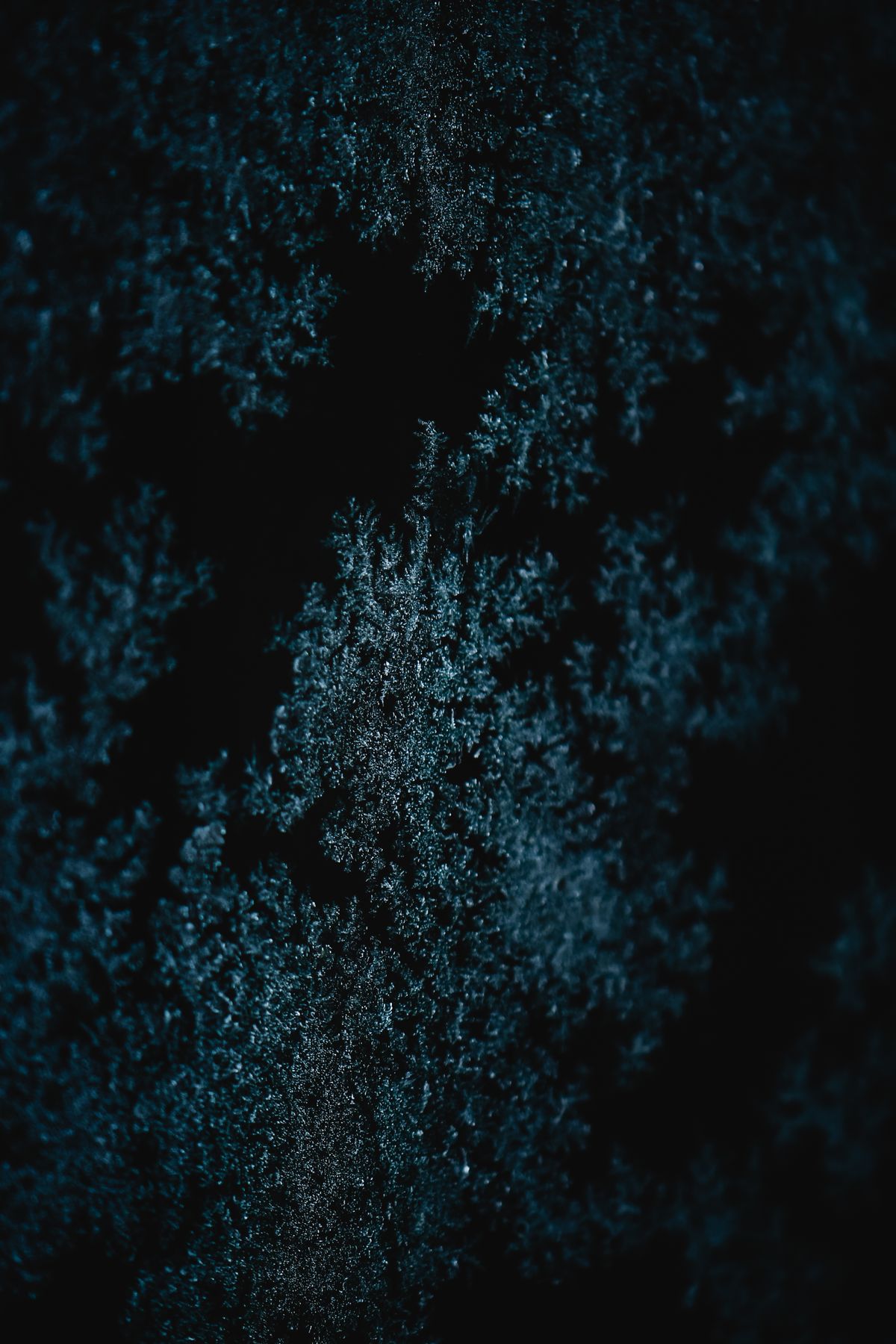 Silver and ice-blue glitter scattered across a black surface like a starry envelope lining