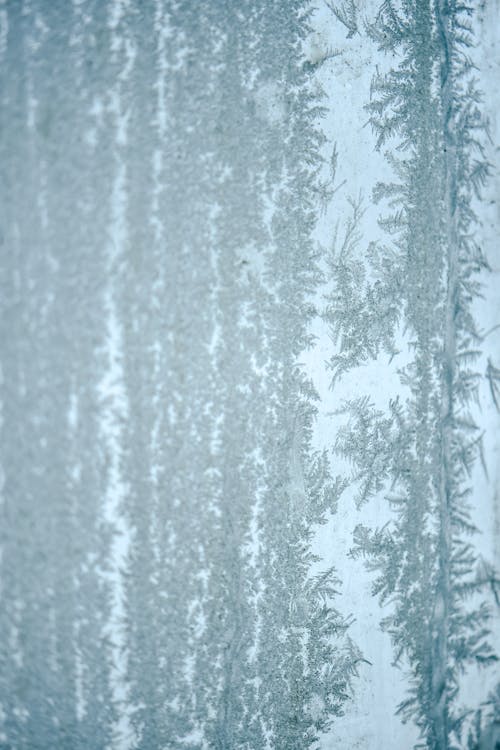 冬季, 冰花, 冷 的 免費圖庫相片