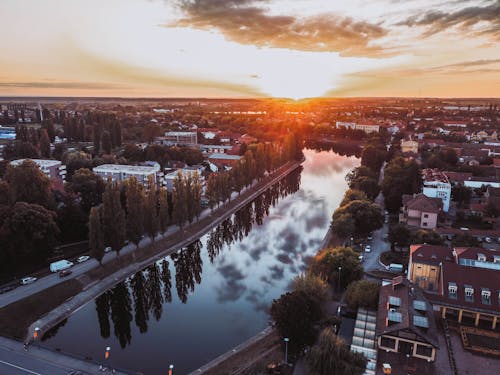 Foto d'estoc gratuïta de arbres, capvespre, cel taronja