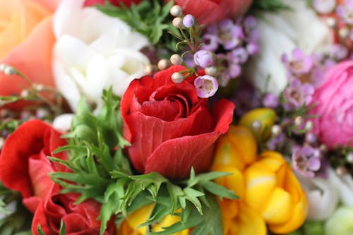 Foto d'estoc gratuïta de arranjament floral, flors, fotografia de flors