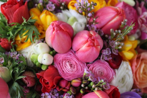 Close-up of a Bouquet