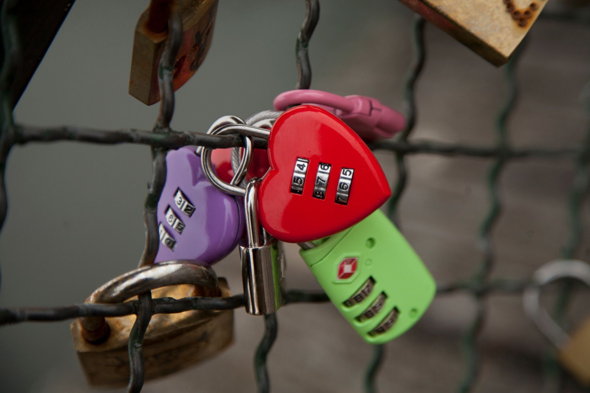 How to Choose the Right Locksmith in Etobicoke for Your Home