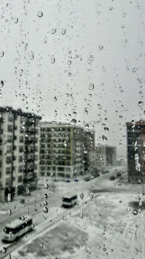 Fotos de stock gratuitas de blanco y negro, ciudad, claro