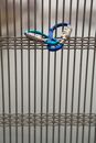 Key Holder with Code Locked on Wires