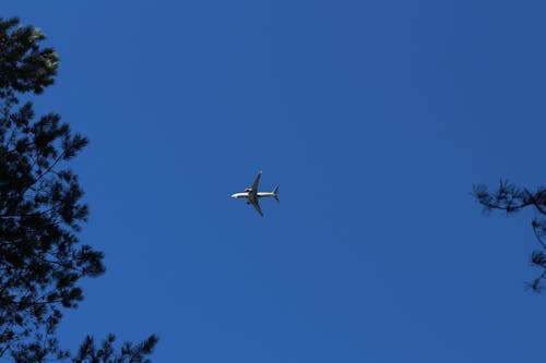 Photos gratuites de aéroporté, ailes, air