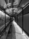 Covered Walkway in Black and White Photo