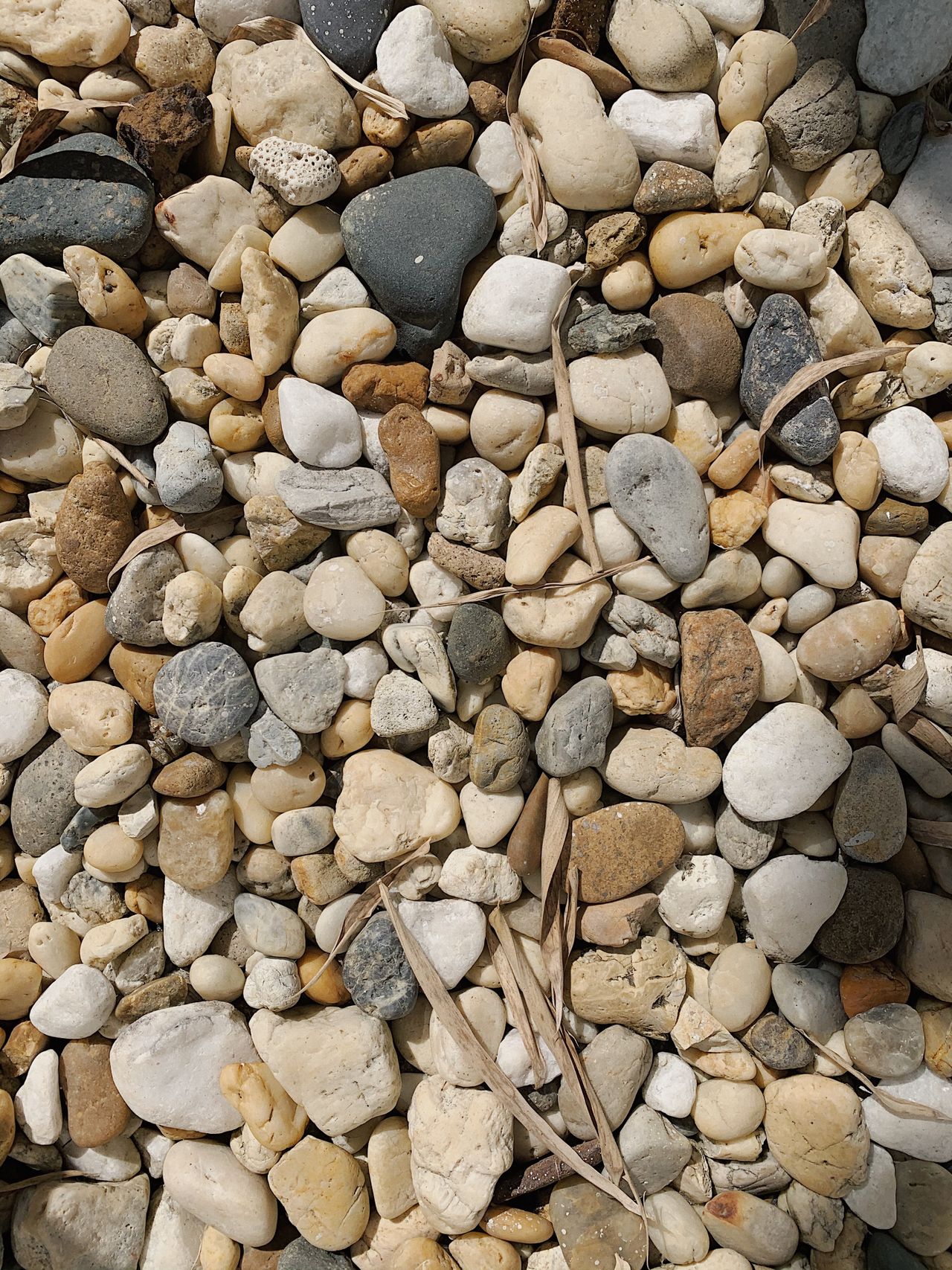Close-up of rounded pea gravel showing mixed warm and gray tones