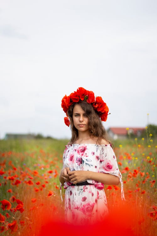 Foto d'estoc gratuïta de camp de flors, Corona de flors, dona