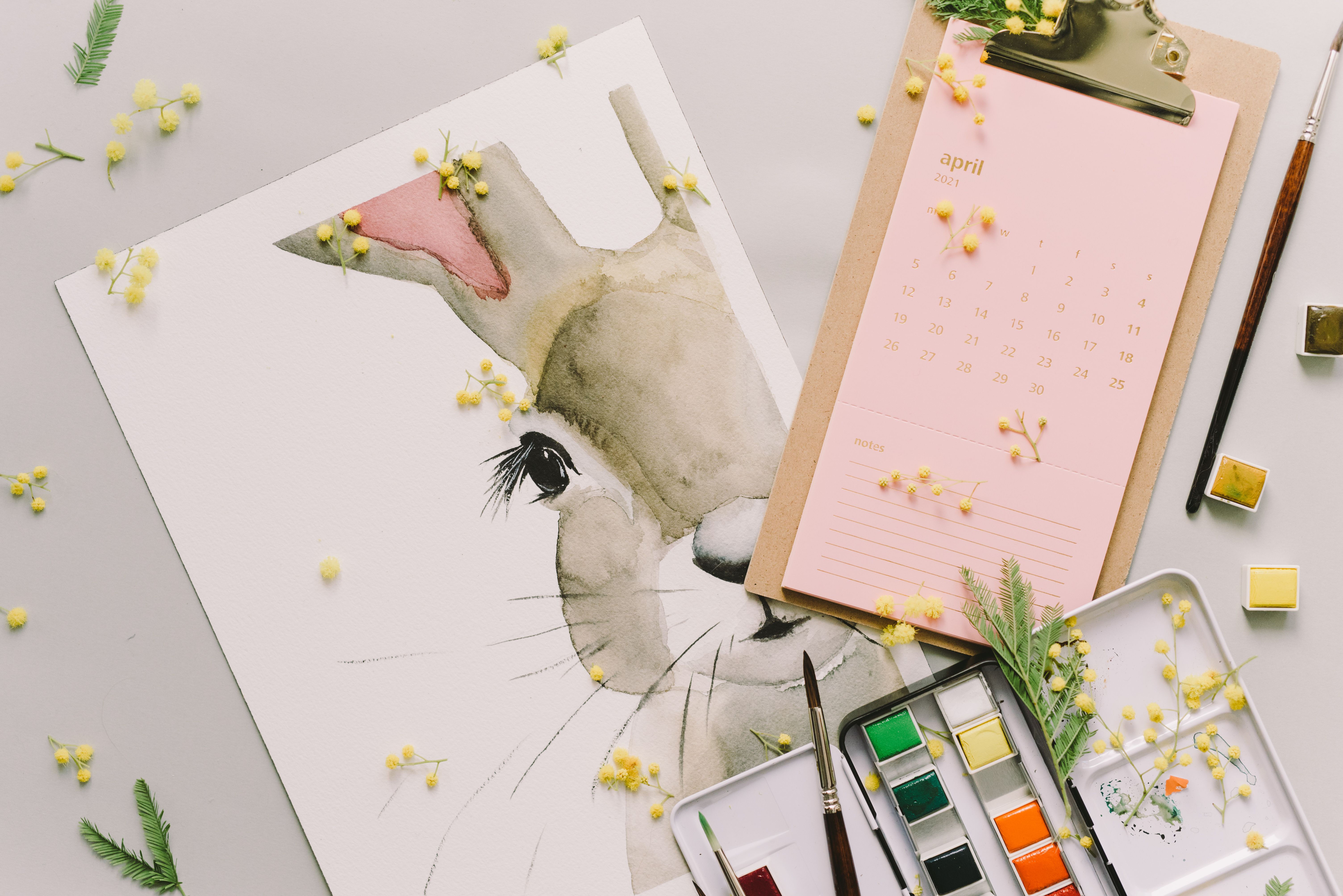 Free Printable Bunny Coloring Page for Toddlers