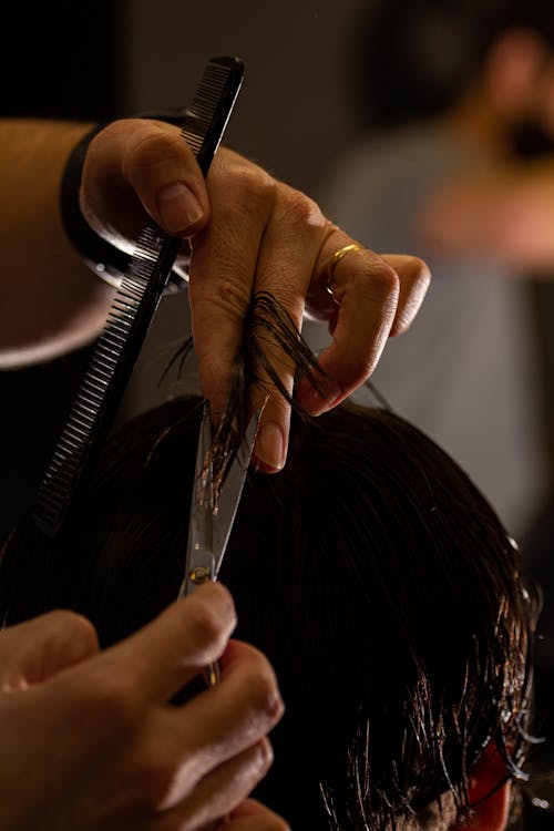 Fotos de stock gratuitas de aseo, Barbero, cabello