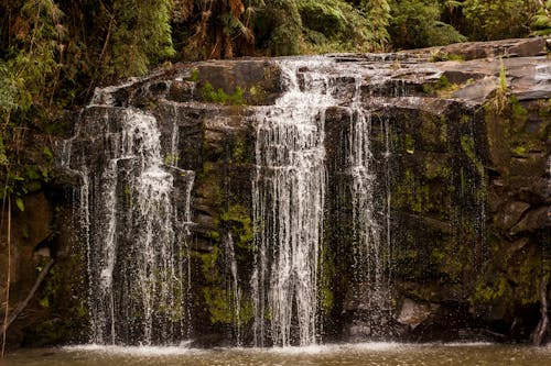 Foto d'estoc gratuïta de aigua, cascades, esquitxada