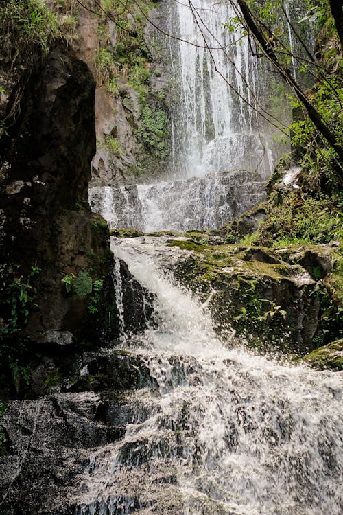 Foto d'estoc gratuïta de aigua, bellesa a la natura, cascada