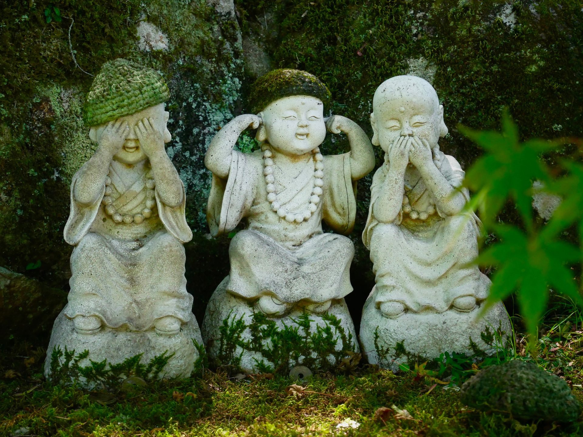 Wise Buddha Statues in the Garden
