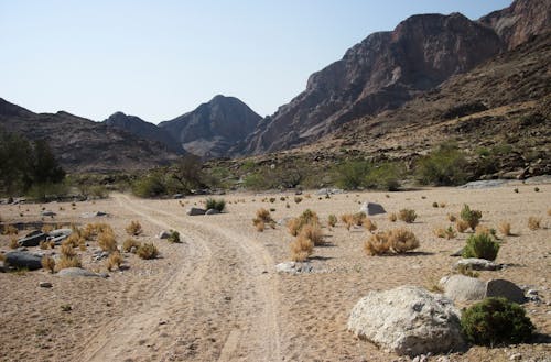 Scenery of a Desert with Mountains