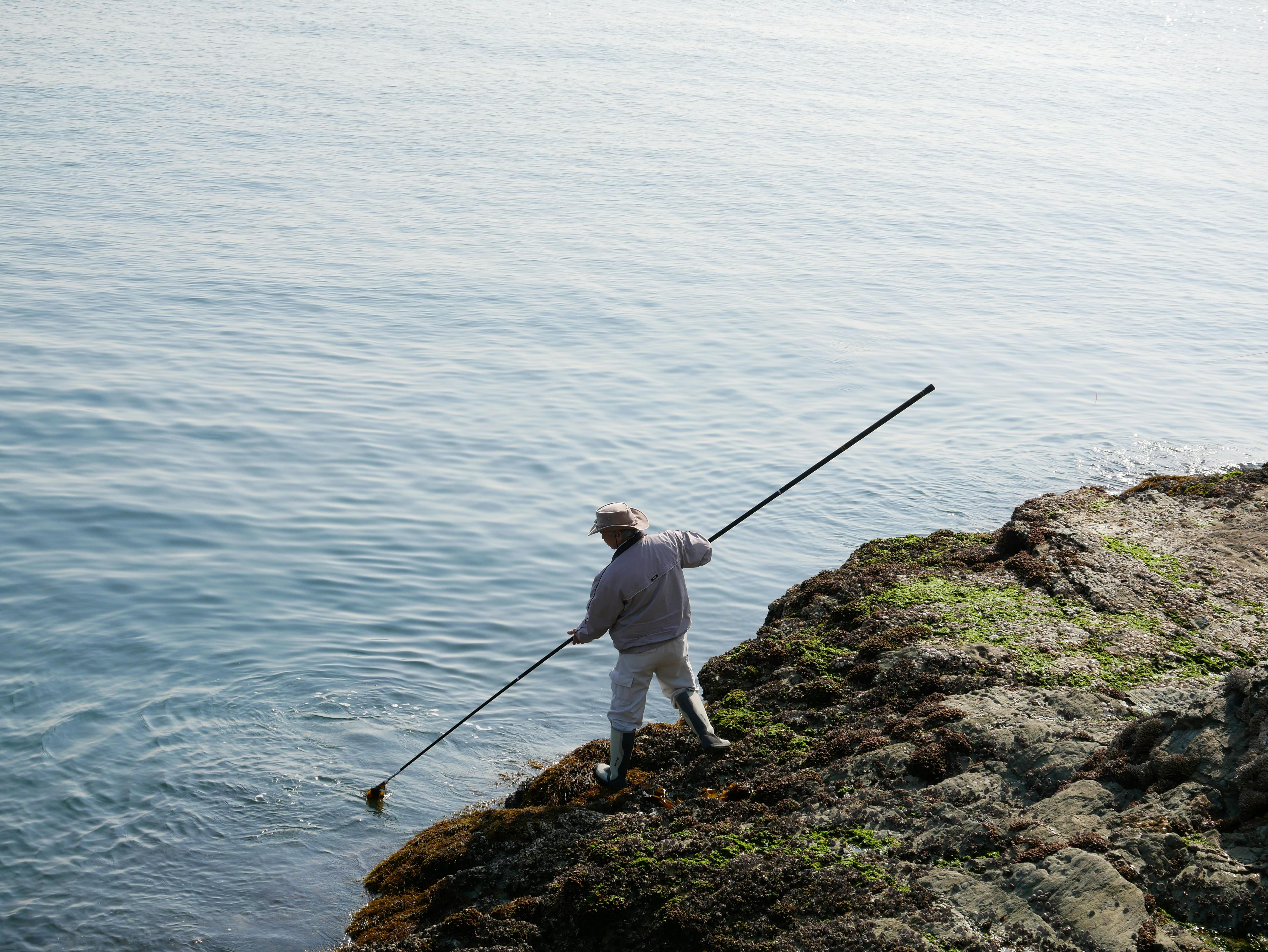 南部梅林、31日開園 日本最大級の広さ、イベント盛りだくさん、和歌山県みなべ - agara.co.jp