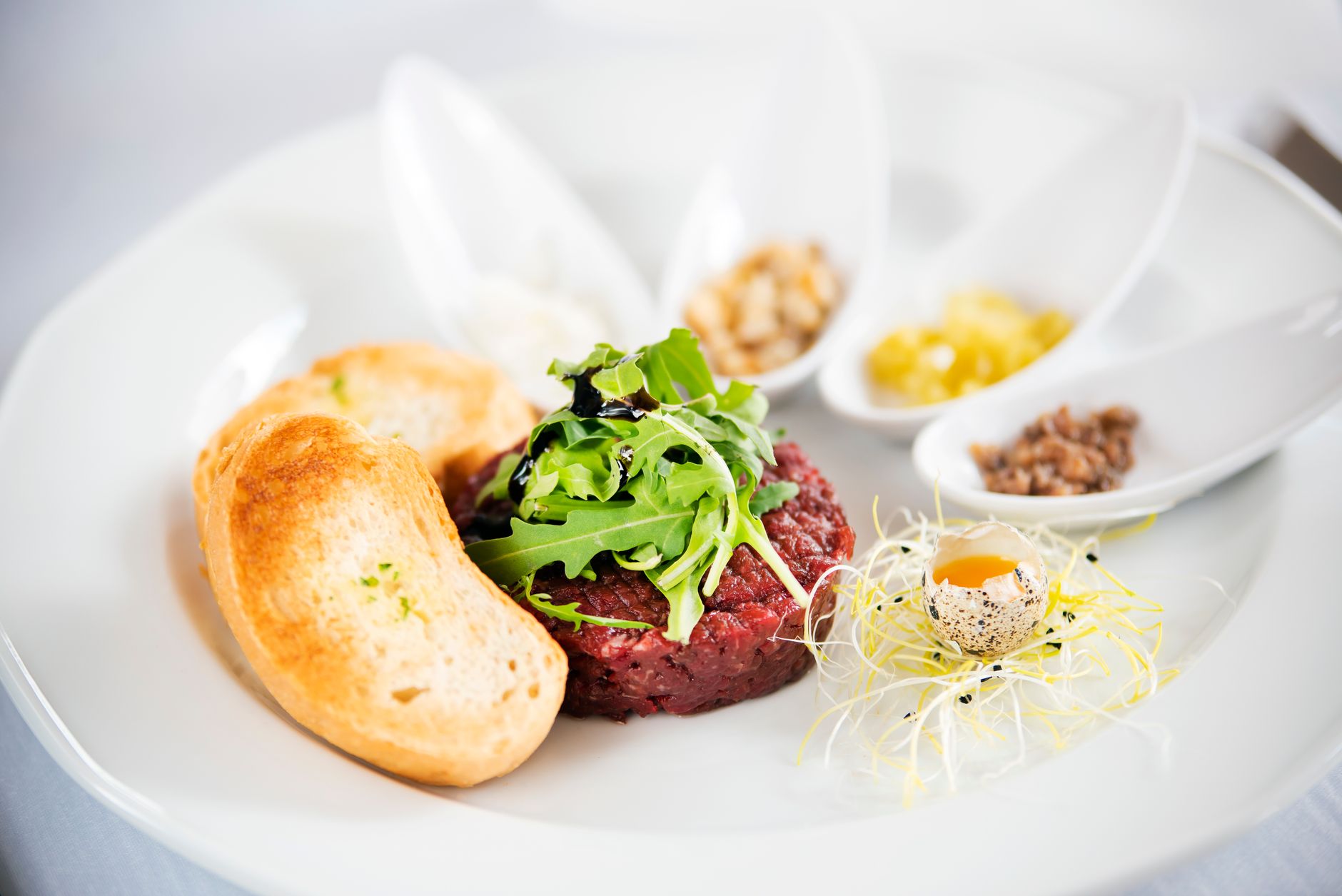 Tasty chopped raw beef with fresh herb leaves and toasts near quail egg yolk on sprouts in restaurant