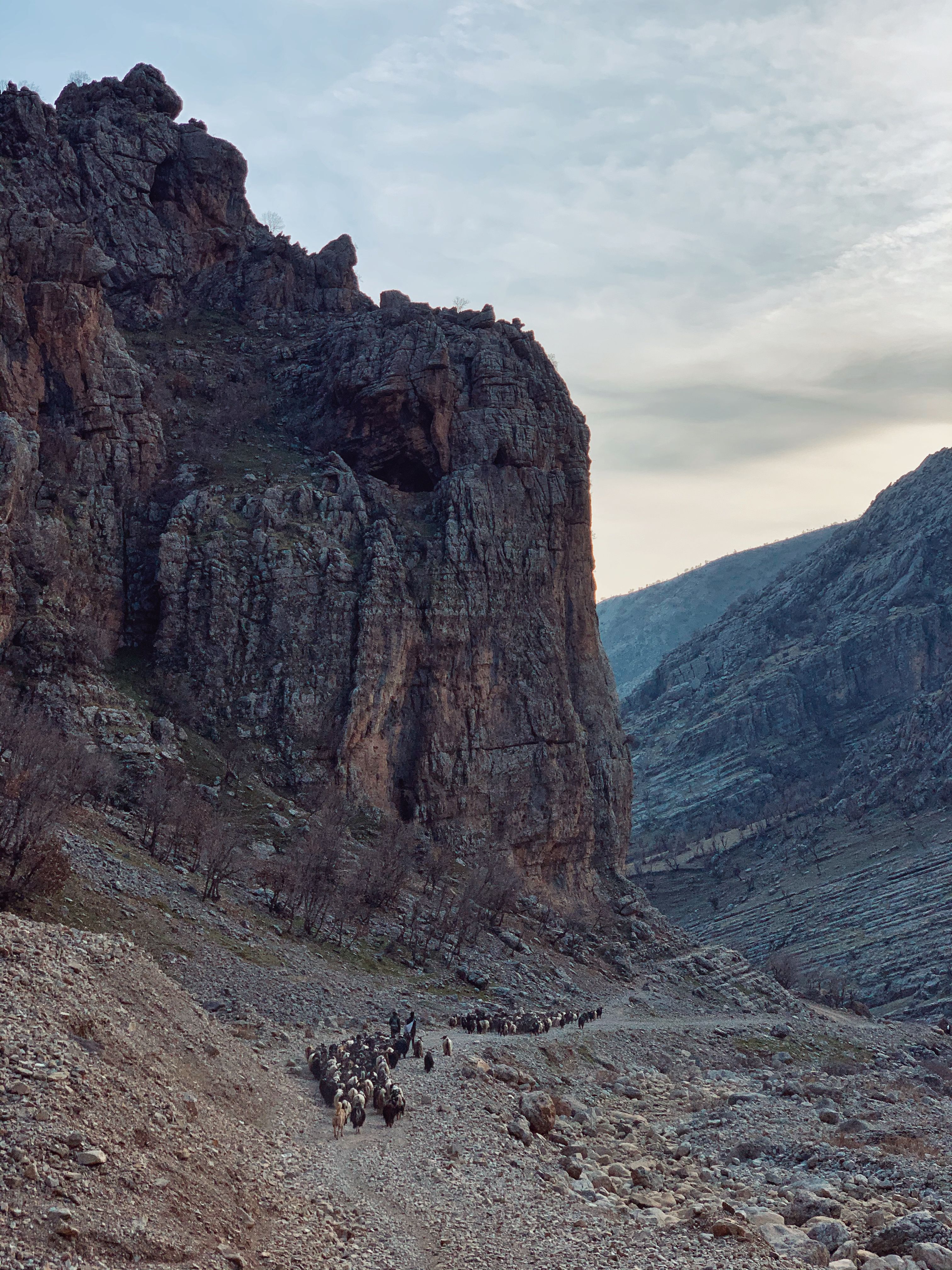 Explore the rugged beauty of Pshdar's mountains in this vertical shot capturing geological formations.
