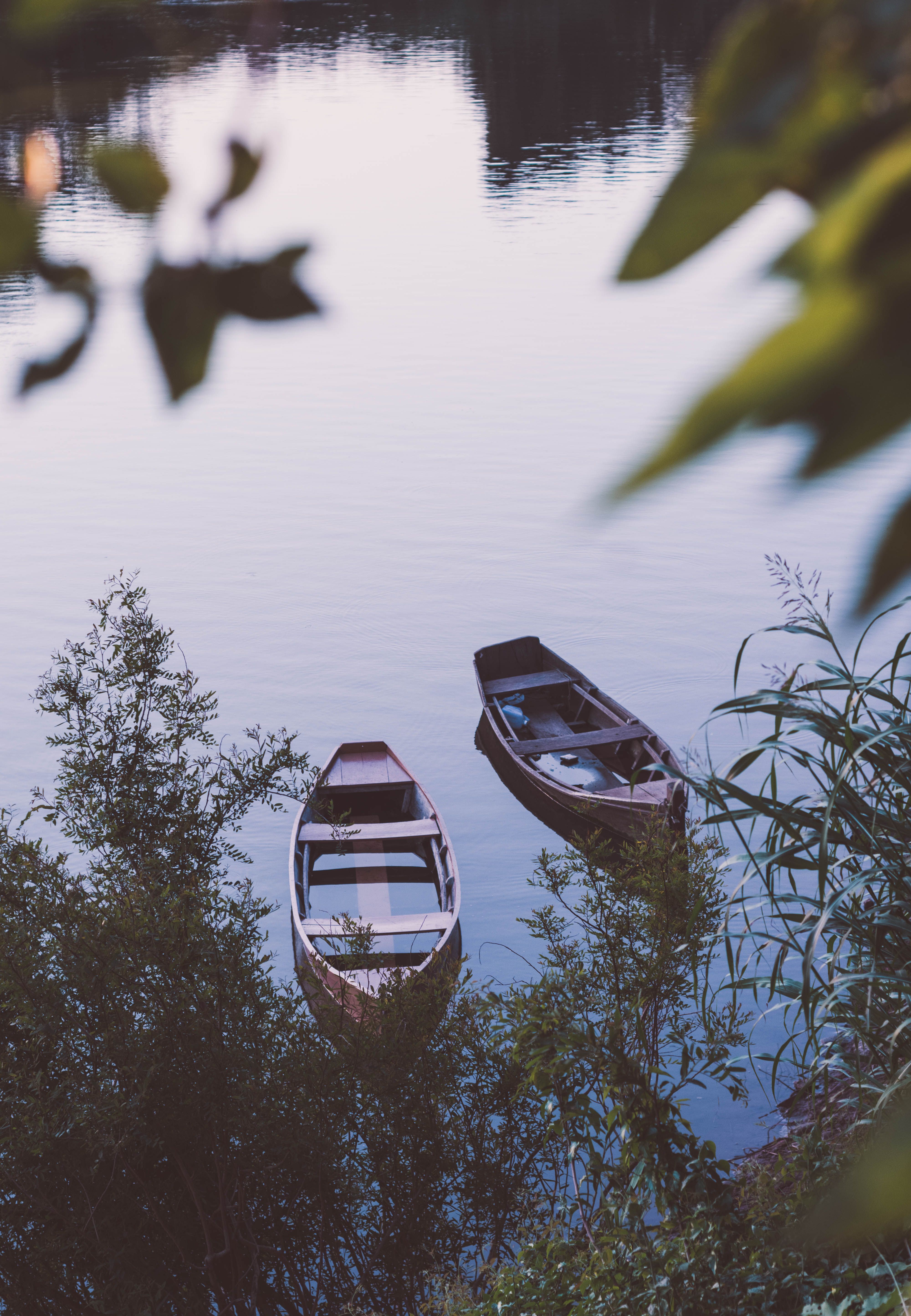 Brown Wooden Boats on Water · Free Stock Photo