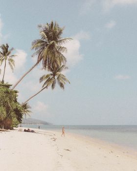 Peaceful tropical beach scene with leaning palm trees against a bright sky, perfect for a summer vacation vibe.