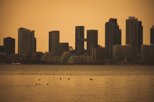 Skyline of a City across the Water at Sunset