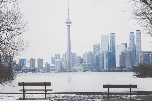 Free City Buildings and CN Tower during Winter Stock Photo