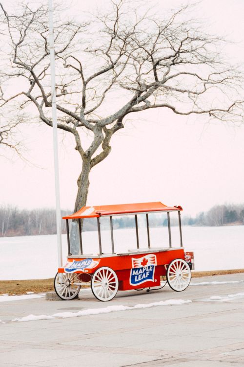 Free A vintage-style red Maple Leaf carriage parked by a leafless tree in a snowy winter setting. Stock Photo