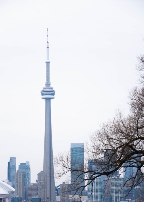 Free View of CN Tower and Toronto skyline during winter with clear sky and barren trees. Stock Photo