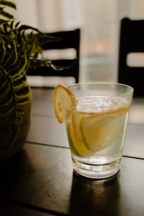 Glass of refreshing lemonade with slices of lemon and lime placed on table near green plant