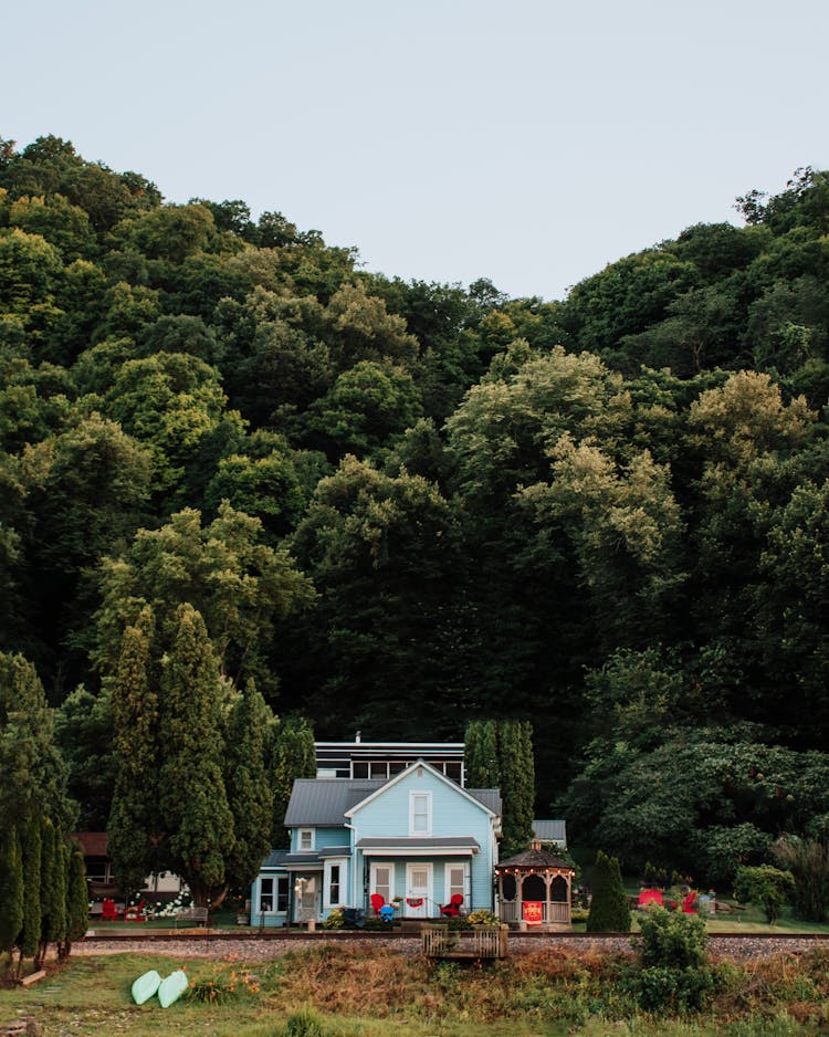 A Blue House Surrounded With Green Trees