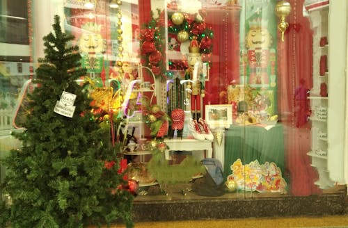 Gratis stockfoto met display window, jaargetij, kerstboom Stockfoto
