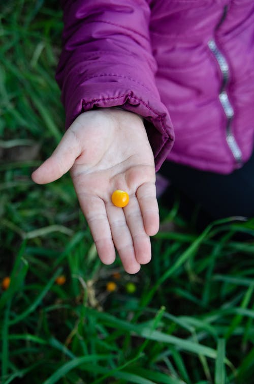 Free stock photo of purple, reaching out, small hand