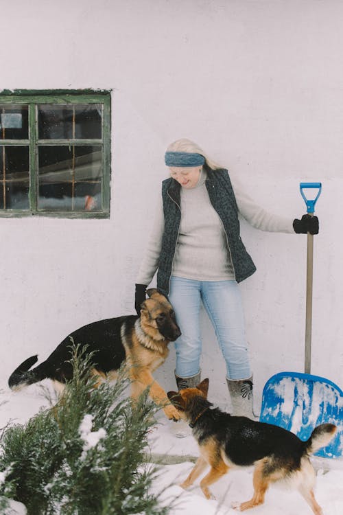 Free Woman in Gray Coat Holding a Blue Shovel Standing Beside a Dog Stock Photo