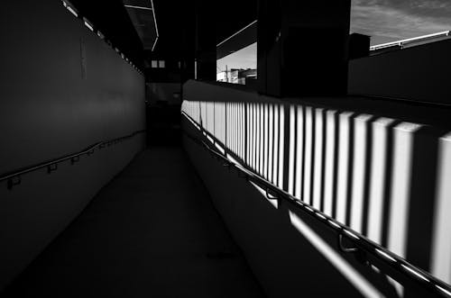 Monochrome Photo of a Pathway