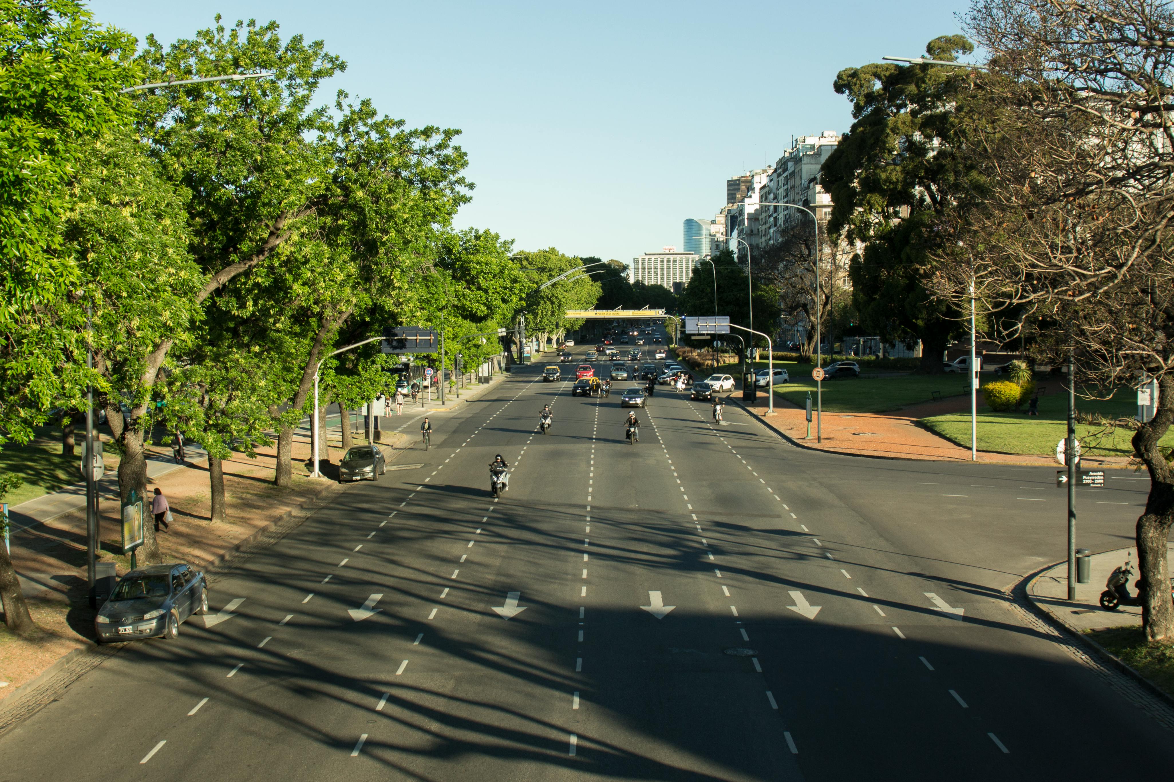 A Cheongdam avenue in mid-September with soft afternoon light and dry air