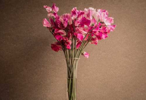 Pink Flowers in a Glass Vase