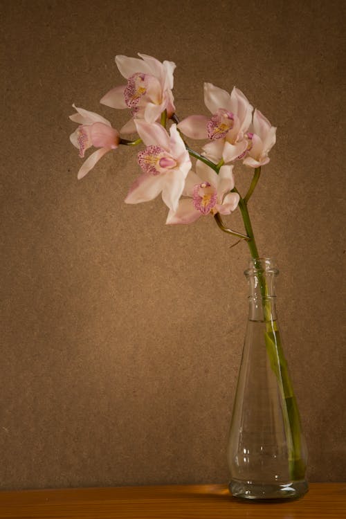 Pink Flowers in a Glass Vase