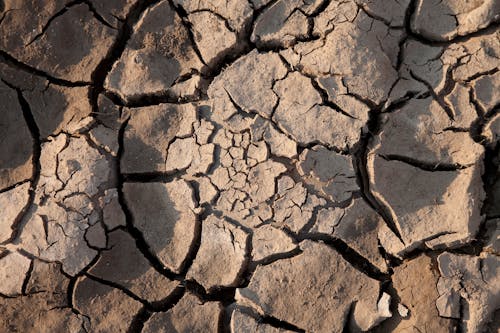 Dried Cracked Mud Surface