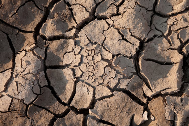 Dried Cracked Mud Surface